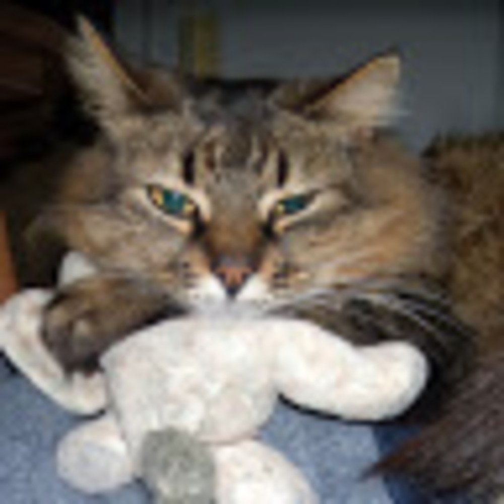 Meet your Posher, Leeann